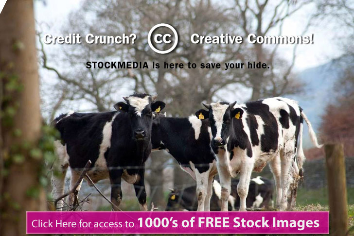 stockmedia.cc free until to cows come home
